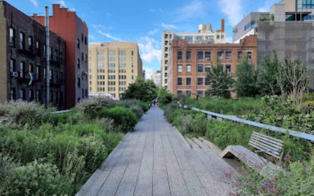 The High Line: The Best Thing To Do In New York City